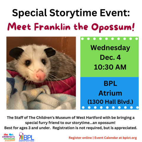 special storytime event meet an opossum wednesday december 4 at 10 30 a m at the atrium picture of an opossum in a tree