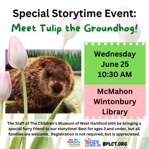 special storytime event meet tulip the groundhog image of groundhog and pink tulips