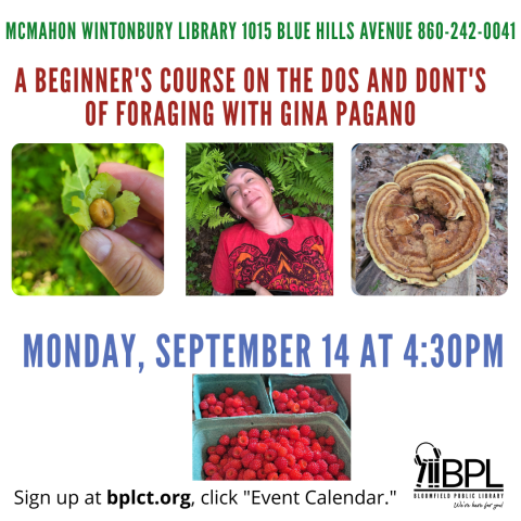 A Beginner's Course on the Dos and Dont's of Foraging with Gina Pagano