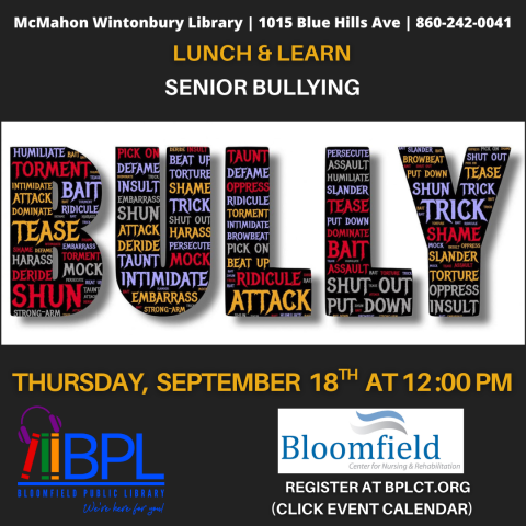 Lunch and Learn Senior Bullying