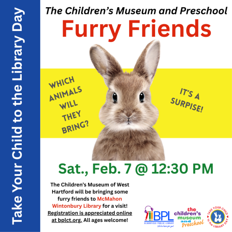 The children's museum and preschool presents furry friends saturday february 7 image of rabbit