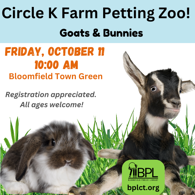 circle k farm petting zoo goats and bunnies friday october 11 at 10 a m bloomfield town green