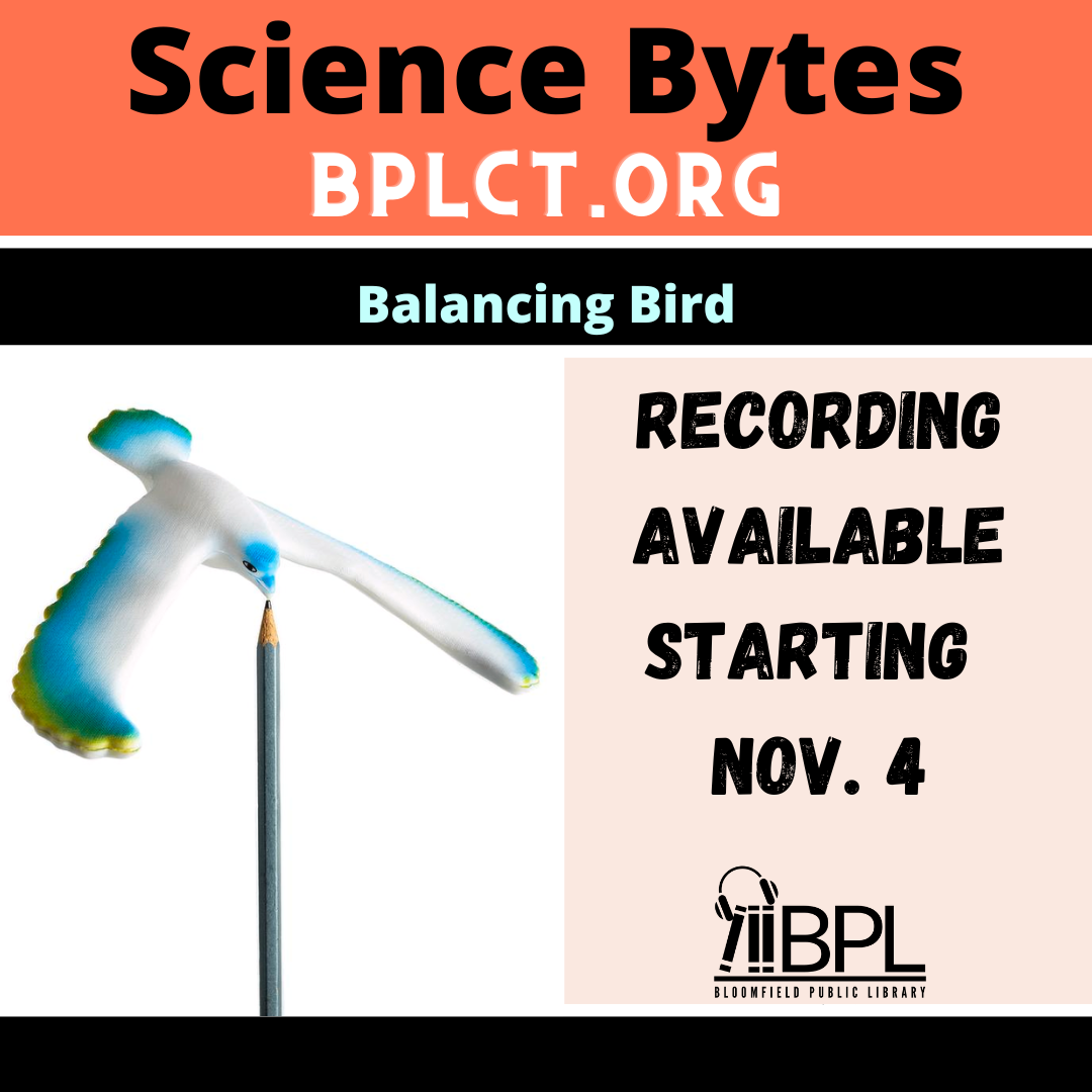 science bytes balancing bird recording available starting november 4 picture of bird balancing on its beak on the tip of a pencil